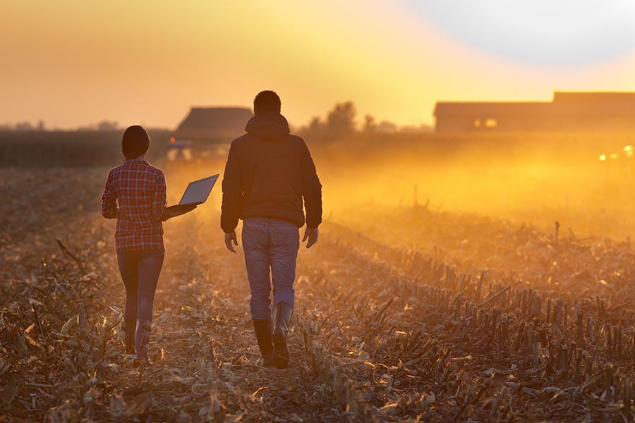 Specialized Business Insurance - Two Farmers Walk Through a Field at Sunset Holding a Laptop, Farm Equipment Running in the Distance, Dust in the Air