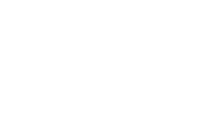 Wikstrom Insurance Agency - Logo 500 White